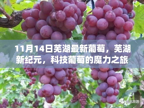 張牙舞爪 第21頁
