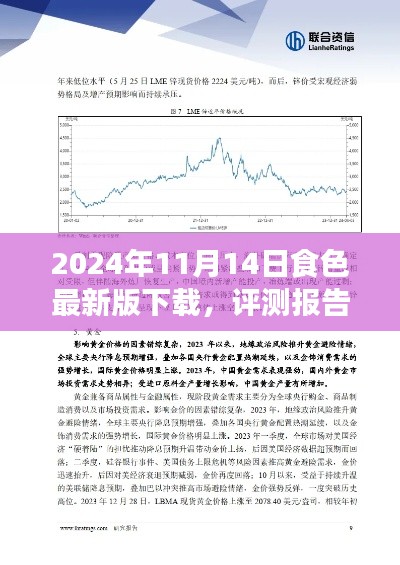 深度評測報告，2024年食色最新版下載解析