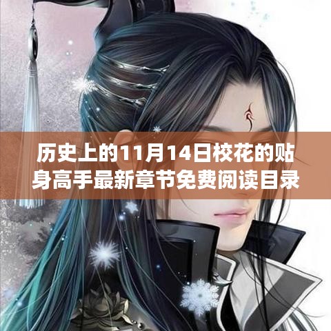 歷史上的11月14日，校花貼身高手最新章節(jié)免費(fèi)閱讀日
