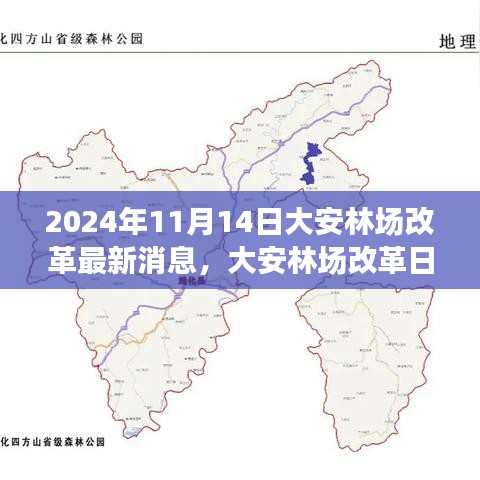 大安林場改革故事會，最新消息與溫馨改革之旅（2024年11月14日）