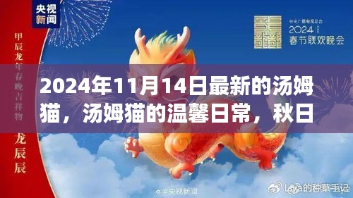 江南煙雨斷橋殤 第19頁