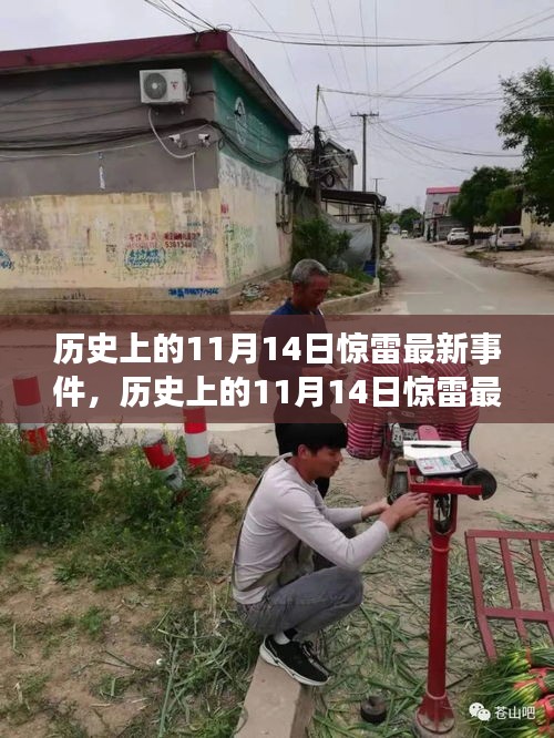 歷史上的11月14日驚雷事件，全面評測與深度介紹
