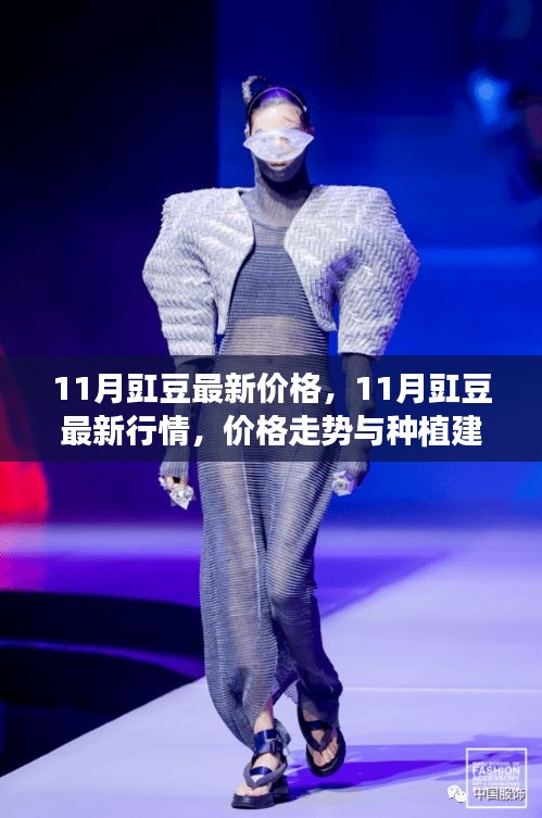 11月豇豆行情分析，最新價(jià)格、走勢及種植建議