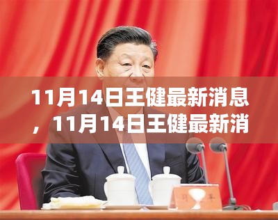 王健最新消息全面評(píng)測(cè)與介紹，11月14日更新動(dòng)態(tài)揭秘！