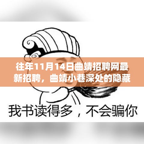 曲靖招聘網(wǎng)獨家揭秘，小巷深處的隱藏瑰寶，特色小店奇妙招聘之旅啟幕