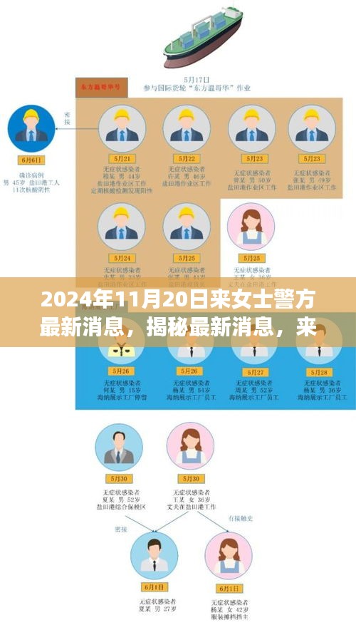 揭秘來女士案件最新進展與警方深度調(diào)查，最新消息披露于2024年11月20日