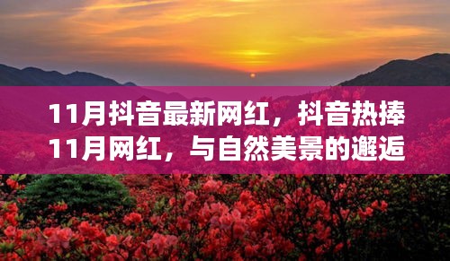 抖音熱捧的11月網(wǎng)紅，與自然美景的邂逅與內(nèi)心寧靜之旅