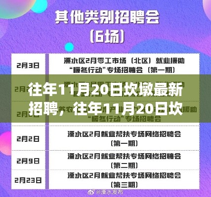 往年11月20日坎墩最新招聘概覽，職場人的新選擇之窗