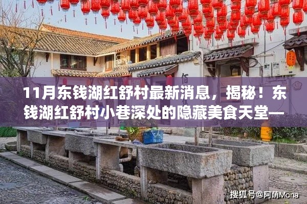 揭秘東錢(qián)湖紅舒村最新動(dòng)態(tài)，小巷美食天堂獨(dú)家報(bào)道