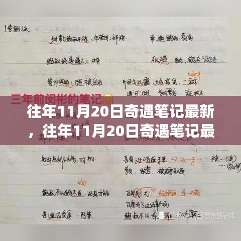 揭秘往年11月20日奇遇筆記，意想不到的旅程揭秘最新動態(tài)