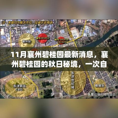 襄州碧桂園秋日秘境，自然美景的心靈之旅最新消息揭秘