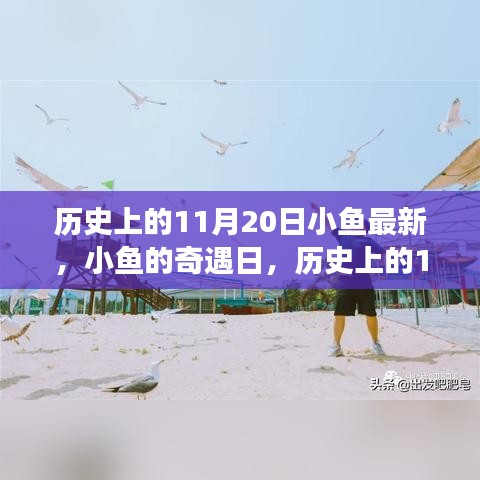 歷史上的11月20日，小魚奇遇日的溫馨小事回顧