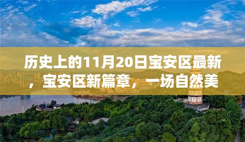 寶安區(qū)新篇章啟程，探尋自然美景之旅，溫暖陽光下的寶安區(qū)探尋日（11月20日）