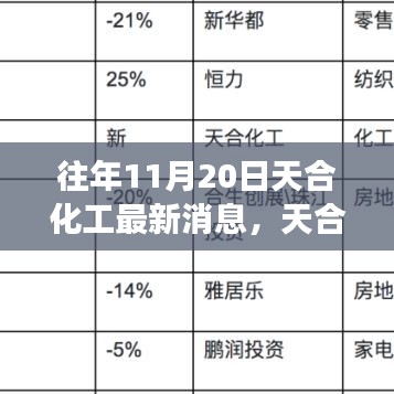 天合化工最新動(dòng)態(tài)解讀，產(chǎn)品特性、用戶體驗(yàn)與目標(biāo)用戶分析揭秘