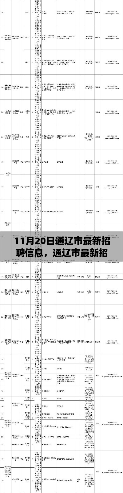 通遼市最新招聘信息概覽，職場人的福音（11月20日更新）