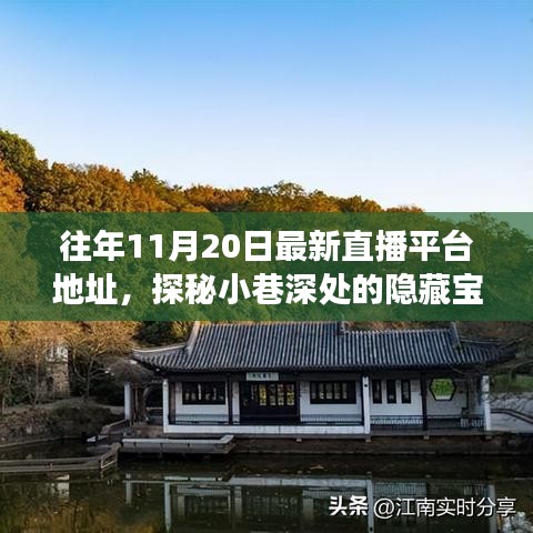 探秘小巷深處的寶藏，十一月二十日最新直播平臺獨特魅力之旅的地址分享
