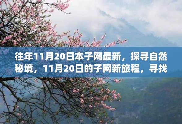 往年11月20日本子網(wǎng)最新，探尋自然秘境，11月20日的子網(wǎng)新旅程，尋找內(nèi)心的桃花源