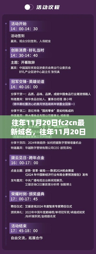 往年11月20日FC2CN域名更新，解析與觀點(diǎn)闡述