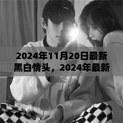 2024年最新黑白情頭評測，特性、使用體驗與目標用戶深度分析