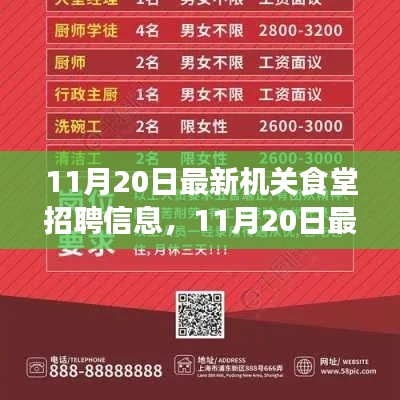 最新機(jī)關(guān)食堂招聘信息詳解，11月20日發(fā)布的全解析報(bào)告