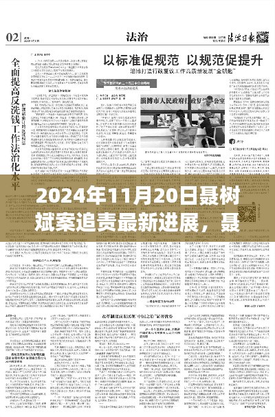聶樹斌案追責(zé)最新進(jìn)展深度解析，2024年11月20日追責(zé)進(jìn)展及評(píng)測