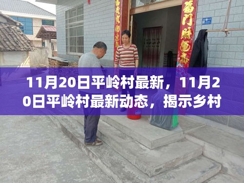 11月20日平嶺村最新，11月20日平嶺村最新動(dòng)態(tài)，揭示鄉(xiāng)村發(fā)展的時(shí)代脈搏