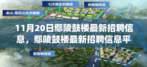 11月20日鄢陵鼓樓最新招聘信息及平臺深度評測，特性、體驗與用戶洞察