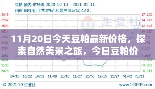 啟程尋找內(nèi)心平和，今日豆粕最新價格與自然美景之旅的寧靜故事