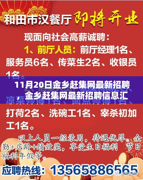 11月20日金鄉(xiāng)趕集網(wǎng)最新招聘匯總，熱點崗位解析與招聘信息