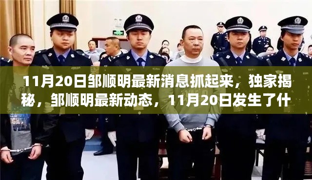 獨家揭秘，鄒順明最新動態(tài)及11月20日事件內幕揭秘