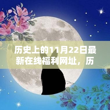 歷史上的11月22日與最新在線福利網(wǎng)址，多方觀點(diǎn)深度探析