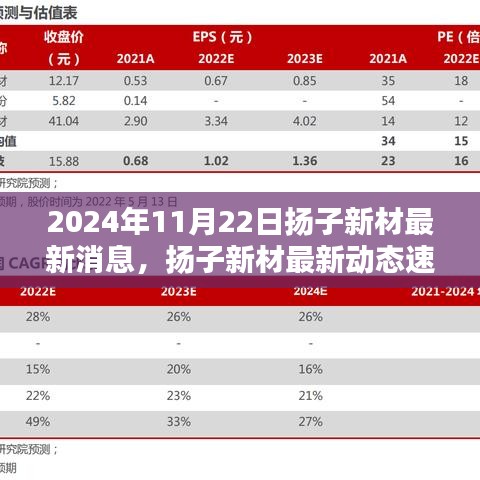 2024年11月22日揚(yáng)子新材最新消息，揚(yáng)子新材最新動態(tài)速遞，2024年11月22日的三大看點(diǎn)