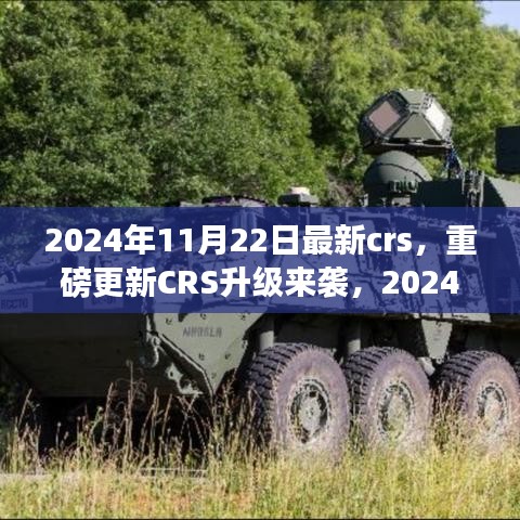 重磅更新CRS升級來襲，解讀最新政策與應(yīng)對策略，2024年CRS新動向解析