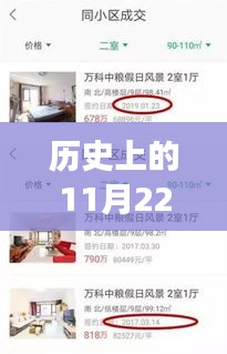 歷史上的11月22日午夜頻道最新福利宅女，歷史上的午夜頻道，宅女逆襲，自信與成就感的魔法時刻