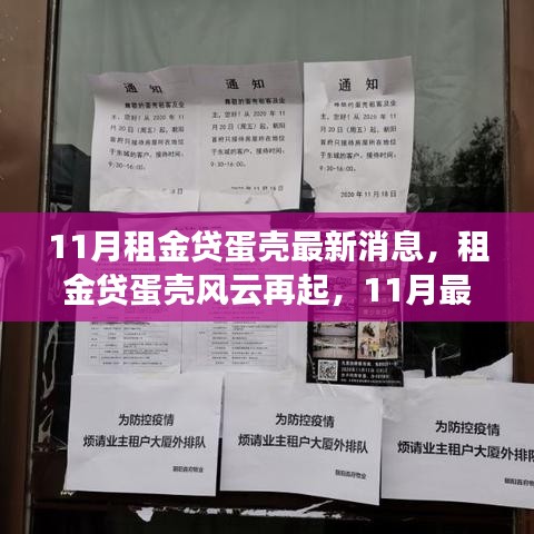 租金貸蛋殼風(fēng)云再起，深度解析蛋殼最新消息與11月最新進(jìn)展