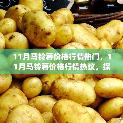 探析市場波動與各方觀點，揭秘十一月馬鈴薯價格行情熱議背后的故事