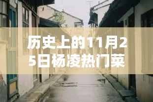 歷史上的楊凌菜價(jià)探秘，十一月二十五日小巷深處的時(shí)光味道與熱門菜價(jià)揭秘