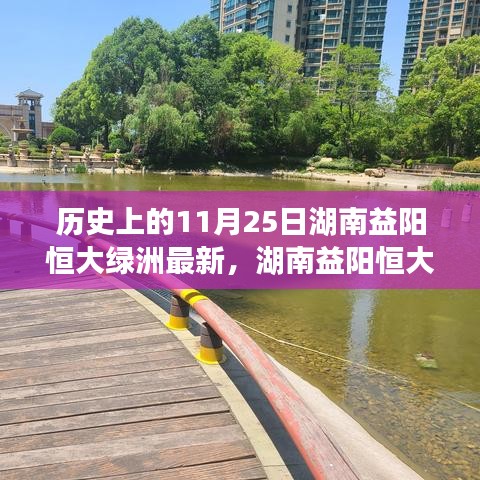 湖南益陽恒大綠洲項目深度解讀，最新進展與全面剖析報告（11月25日）