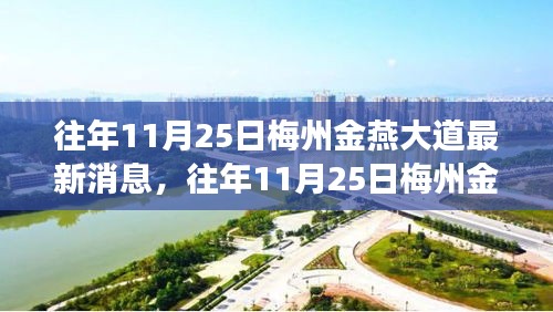 往年11月25日梅州金燕大道，發(fā)展詳評與最新動態(tài)解析