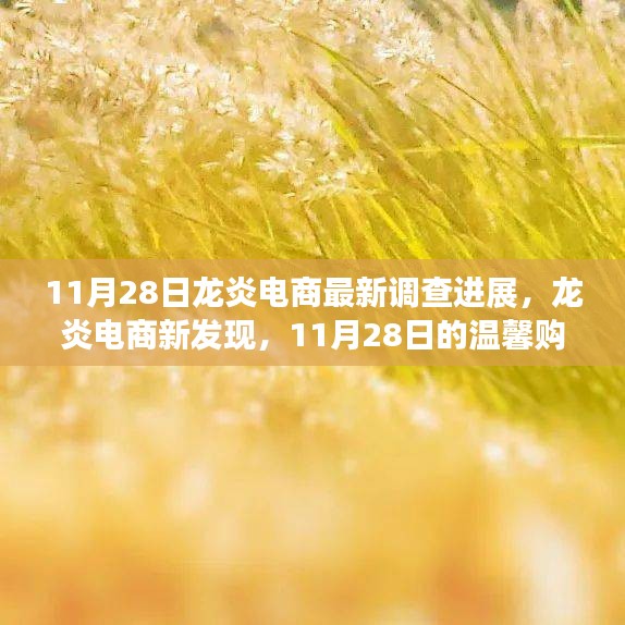 龍炎電商最新調(diào)查進展揭秘，溫馨購物日常故事與最新發(fā)現(xiàn)