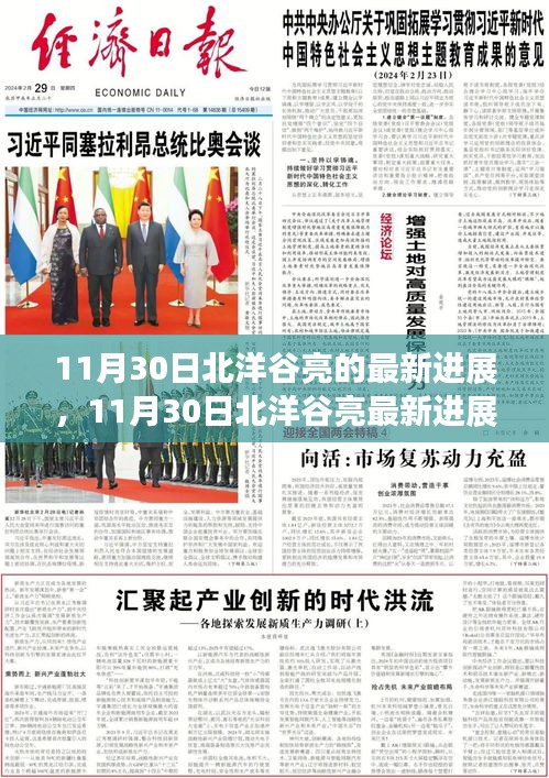 11月30日北洋谷亮最新進(jìn)展報(bào)告，揭秘最新動態(tài)與成果展示