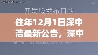 深中浩歷年公告深度解析，背景、事件與領(lǐng)域地位回顧之最新公告解讀
