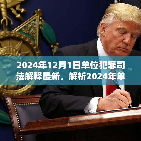 深度解析，2024年單位犯罪司法解釋最新動態(tài)及三大要點探討