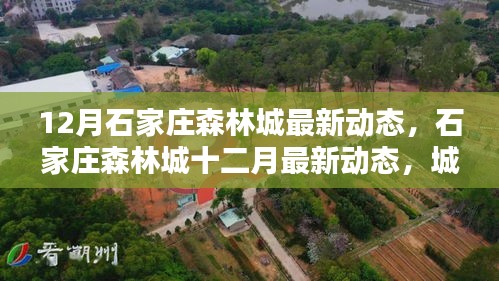 石家莊森林城十二月最新動(dòng)態(tài)，城市綠肺新篇章開啟