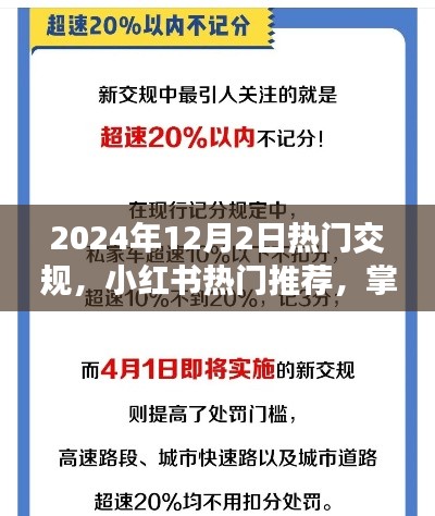 2024年交規(guī)新動態(tài)與熱門推薦，小紅書指南助你出行必備