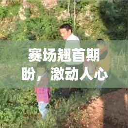 賽場(chǎng)翹首期盼，激動(dòng)人心的比賽瞬間回顧！