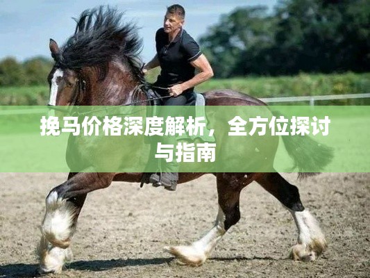 挽馬價(jià)格深度解析，全方位探討與指南