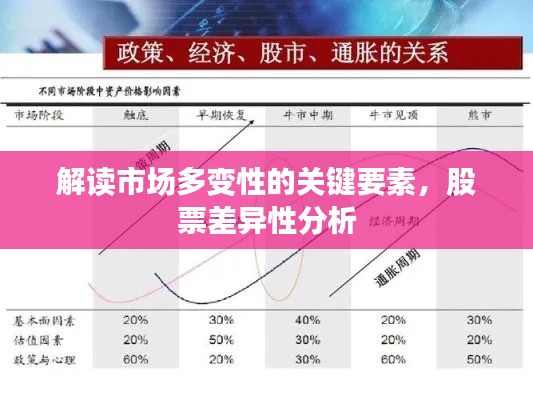 解讀市場多變性的關(guān)鍵要素，股票差異性分析