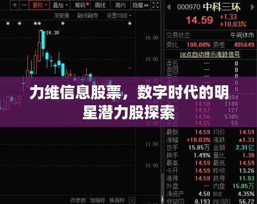 力維信息股票，數(shù)字時代的明星潛力股探索