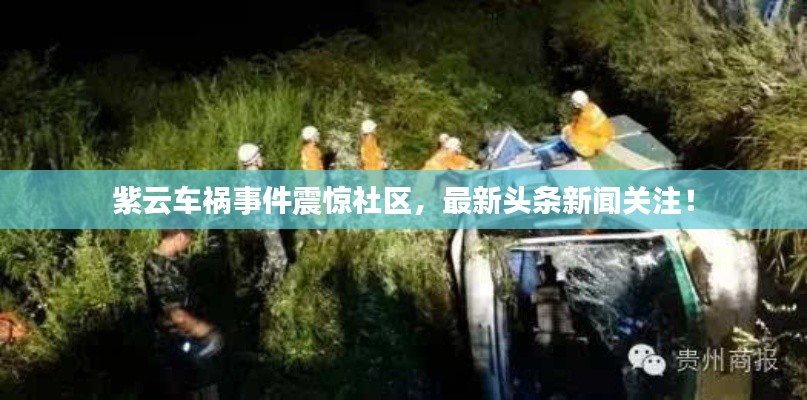 紫云車禍?zhǔn)录痼@社區(qū)，最新頭條新聞關(guān)注！